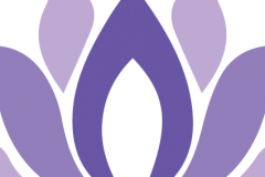 33344837_1935620443136429_2898924309995061248_n